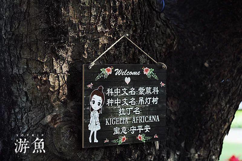 辽宁省律师协会完成第十届理事会专门委员会选聘工作