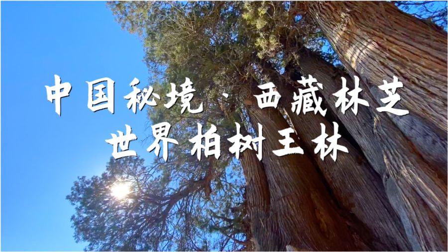 明朝多少年游戏画面