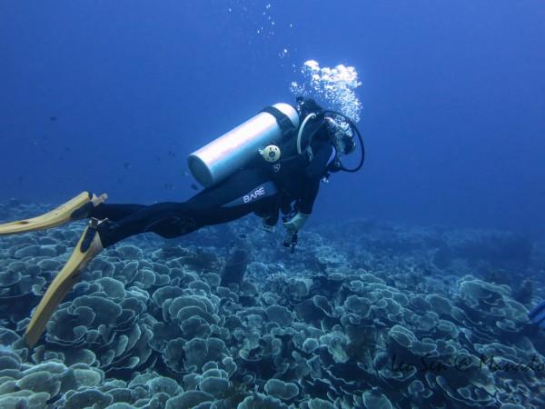 外国视频博主打卡“康养晋城” 沉浸式体验中国年味