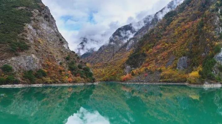 玉米喷胺鲜酯乙烯利使用过早能接棒吗?-专业问答网站