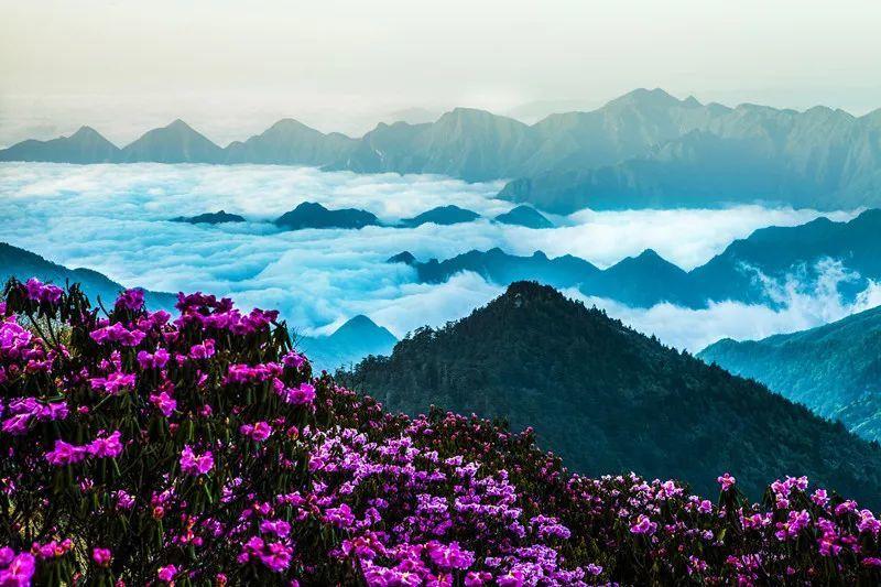 上海好的肿瘤医院-支气管炎和肺炎的区别