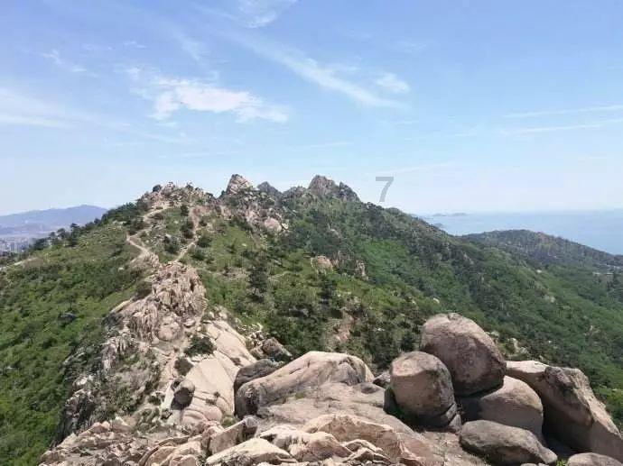 虫虫助手下载
